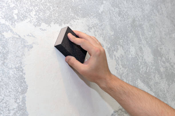 Best Dehumidification Services  in Gretna, FL