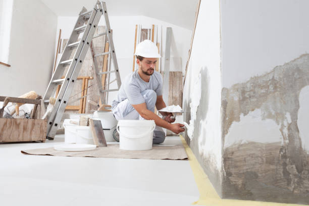 Best Basement Mold Removal  in Gretna, FL